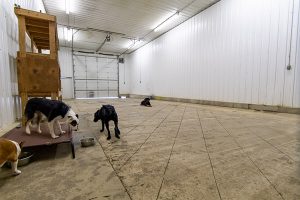 Rock Springs Dog Boarding | Pet Resort at Sweetwater Stables